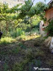 Casa individuala cu 3 camere de inchiriat, 55 mp , Campia Tu 