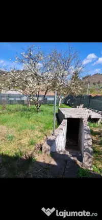 Casă de vânzare în Lunca Bradului 