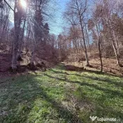 Teren Extravilan Zizin/Tarlungeni 7300 mp 