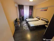 S+P+2+M -Vila-7 Unitati de inchiriat-Spatiu comercial-Sev... 