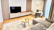 Apartament 2 camere LUX - Herastrau Park View-Prima inchi... 