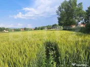 Casă cu teren de 7.020 mp în Lunca Câlnicului – oportun 