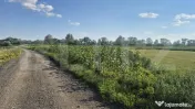 Teren intravilan de vanzare, 3800 mp, zona Titulescu 