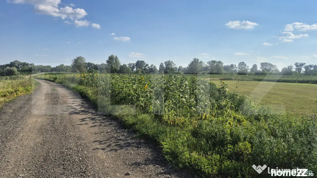 Teren intravilan de vanzare, 3800 mp, zona Titulescu - Satu Mare (Satu-Mare)