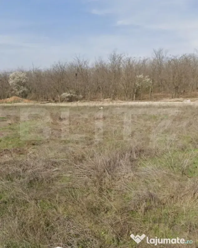 Teren intravilan, 1293 mp, zona Damila