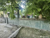 Casa batraneasca, 6500 mp teren, Negostina, Siret