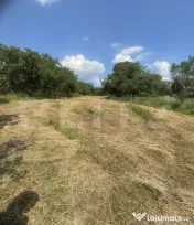 Teren intravilan 3.200 mp | Budacu de Jos | Deschidere la 2 