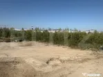 Teren intravilan, ideal hală, 1.059 mp – zona Dâmbovița
