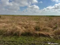 Teren intravilan 500mp | Zona linistita | Oportunitate de de 