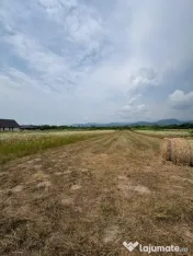 Teren intravilan 2.200 mp – constructii case, utilități 