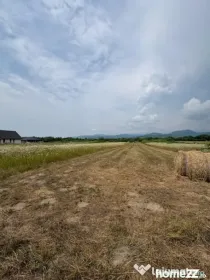Teren intravilan 2.200 mp, utilități în curs de implement