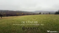 Teren deosebit 3,5HA zona Cisnadioara 