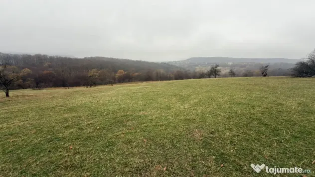 Teren deosebit 3,5HA zona Cisnadioara
