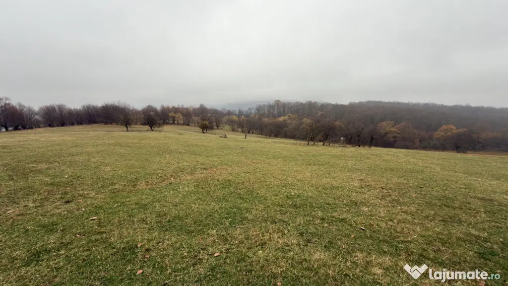 Teren deosebit 3,5HA zona Cisnadioara