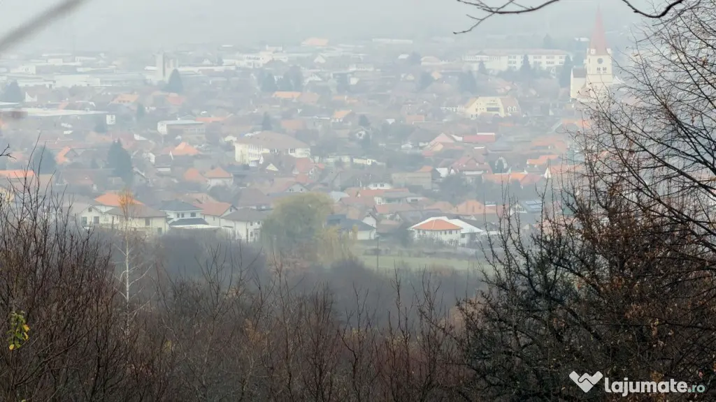 Teren deosebit 3,5HA zona Cisnadioara