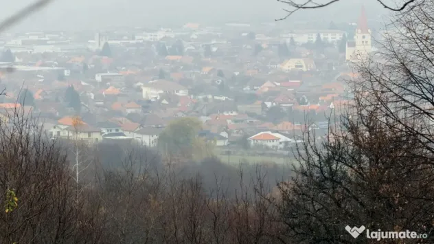 Teren deosebit 3,5HA zona Cisnadioara
