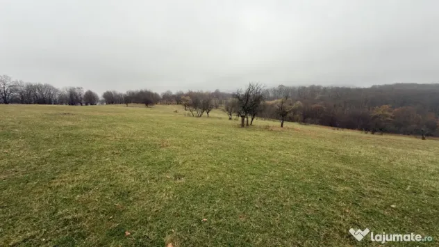 Teren deosebit 3,5HA zona Cisnadioara