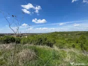 Lugoj, Investi#539;ie excelent#259;: 8.200 Mp., Front 200 M
