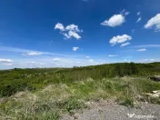 Lugoj, Investi#539;ie excelent#259;: 8.200 Mp., Front 200 M