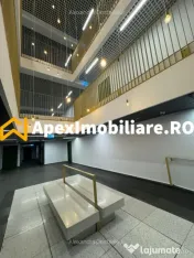 Apartament 2 camere de inchiriat Herastrau București | Apex 