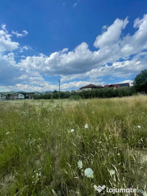 Oportunitate! Teren intravilan 14,56 arii, zona Drurelax, to