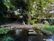 Vila Parc Verdi Floreasca cu Gradina de 400mp 
