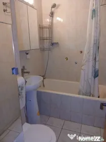 Iancului obor iulia hasdeu oborul nou
