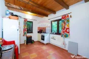 Casă de vânzare cu teren 2.340 mp și pârâu propriu ?... 