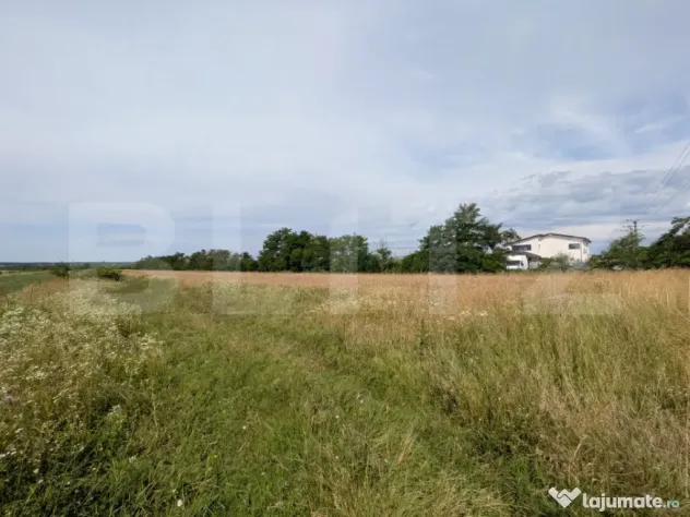 Vand teren intravilan(877) si extravilan(2271)