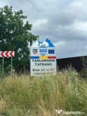 Teren 5.000 mp – Tărlungeni, zona Cărpiniș | Investiție cu potential! 