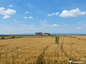 Teren 5.000 mp – Tărlungeni, zona Cărpiniș | Investiție cu potential! 