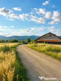 Teren 5.000 mp – Tărlungeni, zona Cărpiniș | Investiție cu potential!