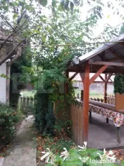 Casa de vanzare, 31 arii teren, Samihaiul de Campie