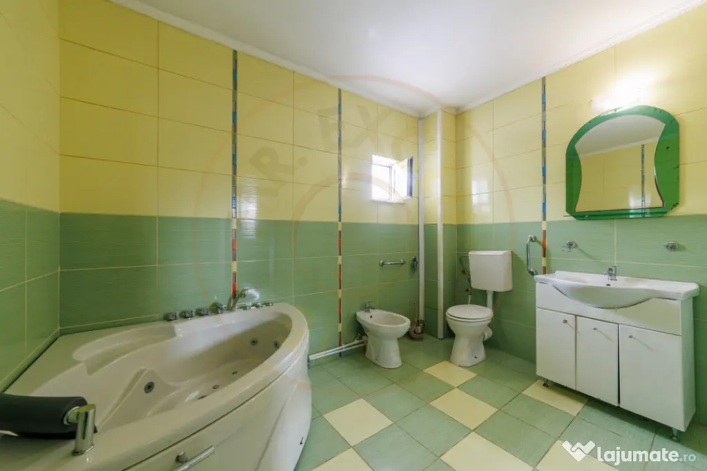 Spațiu pentru afaceri de închiriat | 292 mp utili | Găvan