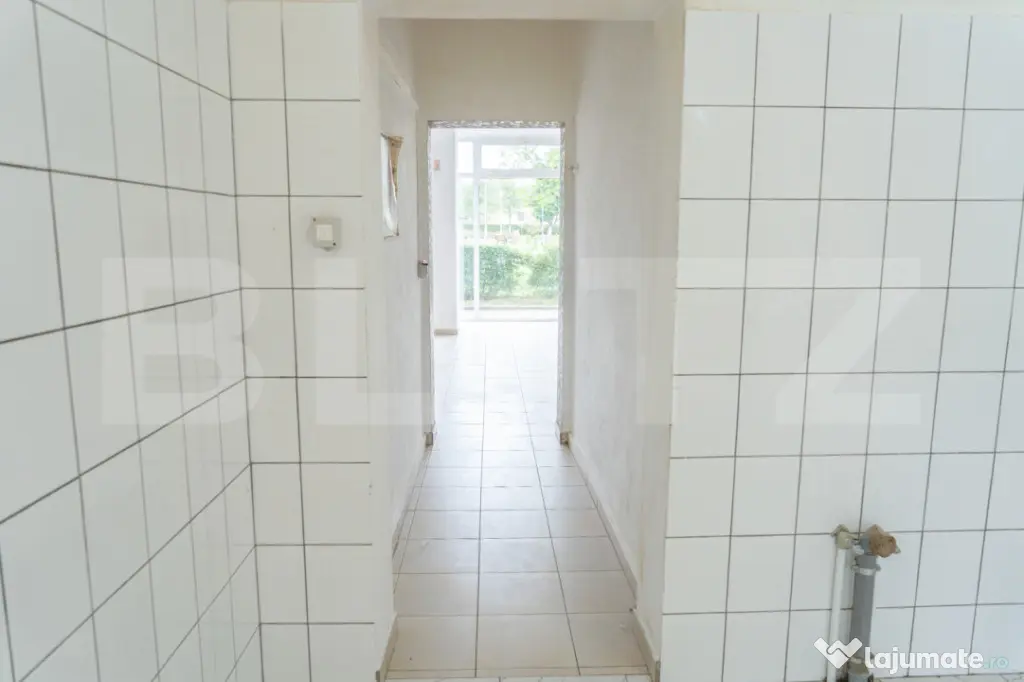 Spatiu de 200mp cu terasa, ideal pentru HoReCa, Turt