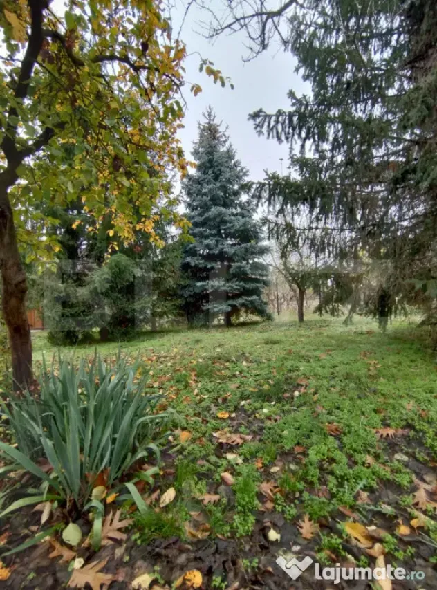Casă de vacanță, teren 1000 mp, pârâu la limita proprie