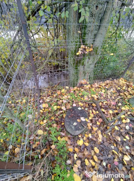Casă de vacanță, teren 1000 mp, pârâu la limita proprie