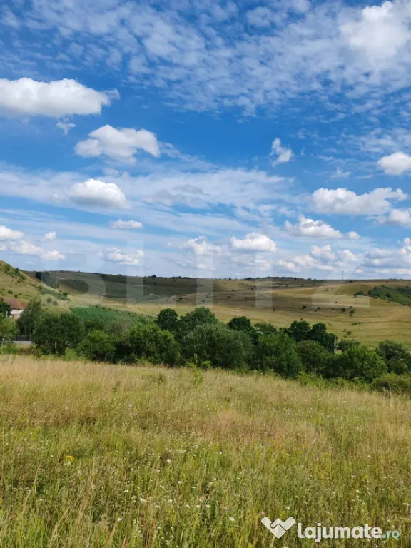 Teren intravilan ideal pentru casa, 4300mp, Deusu -Chinteni