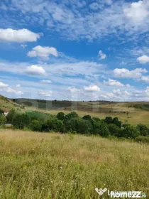 Teren intravilan ideal pentru casa, 4300 mp, Deusu - Chinten