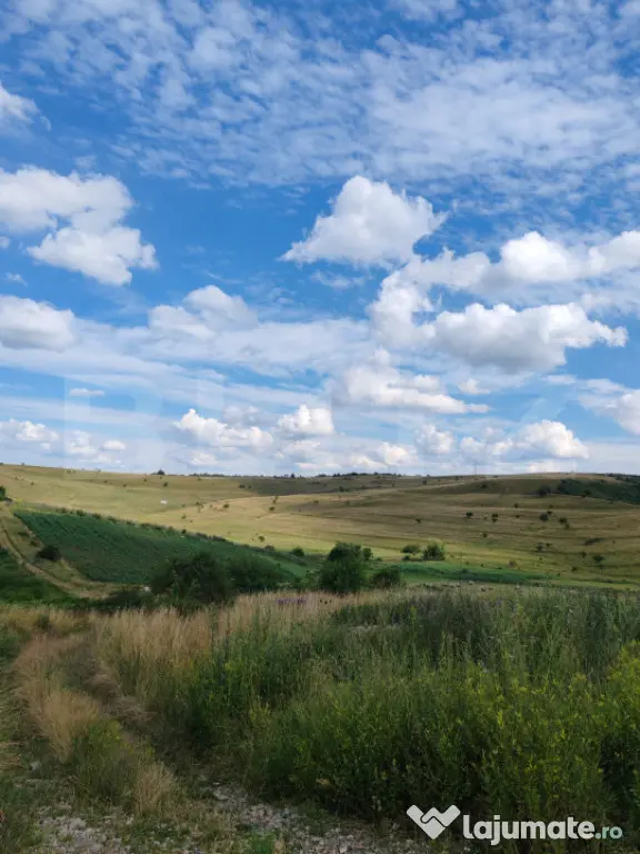 Teren intravilan ideal pentru casa, 4300mp, Deusu -Chinteni