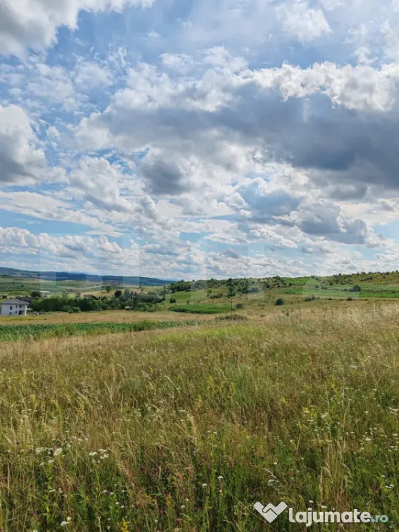 Teren intravilan ideal pentru casa, 4300mp, Deusu -Chinteni