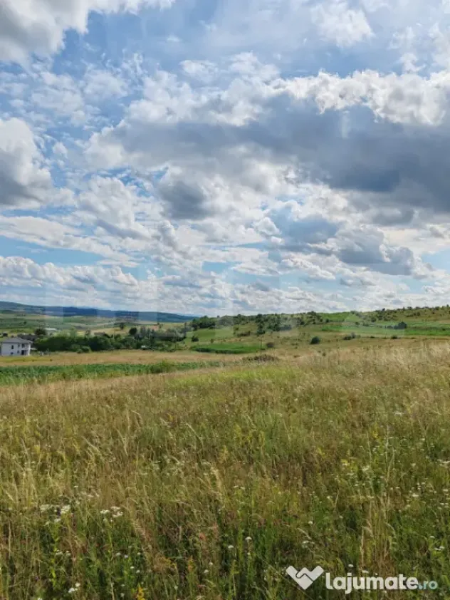 Teren intravilan ideal pentru casa, 4300mp, Deusu -Chinteni