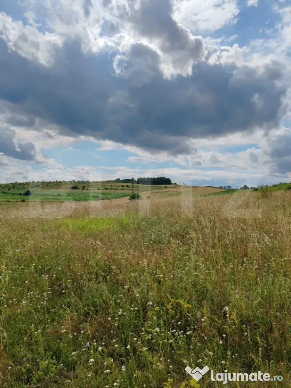 Teren intravilan ideal pentru casa, 4300mp, Deusu -Chinteni