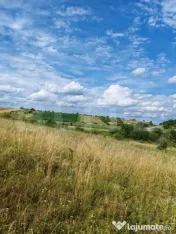 Teren intravilan ideal pentru casa, 4300mp, Deusu -Chinteni 