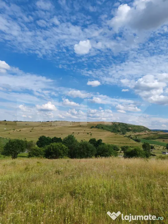 Teren intravilan ideal pentru casa, 4300mp, Deusu -Chinteni