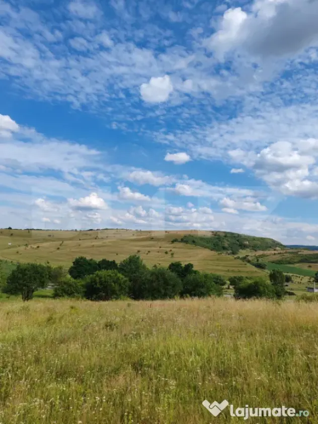 Teren intravilan ideal pentru casa, 4300mp, Deusu -Chinteni