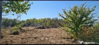 TEREN INTRAVILAN 540MP+1460 EXTRAVILAN, SLATIOARA OLT ZONA E 