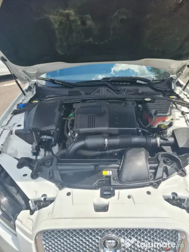 Jaguar XF 2013 2,2 Full Option