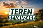 Teren- Mosnita Veche- Toate util. in zona
