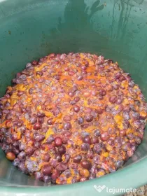 Vand prune din livada proprie,pentru consum,compot,magiun,borhot.